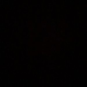 Meet your Posher, Brendan